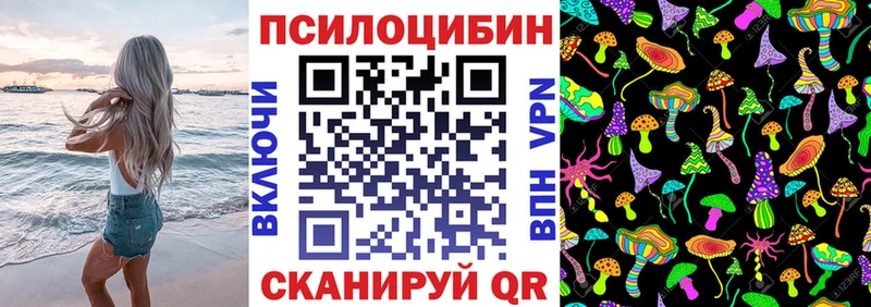 kraken ONION Заозёрск Псилоцибиновые грибы Psilocybe